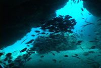 Ilha-Sal-Gabriel-Ganme1