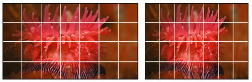 Imagem-Nao-Entrelacada