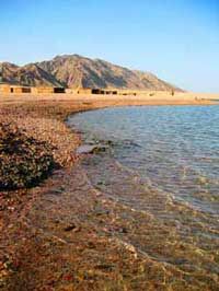 Dahab8
