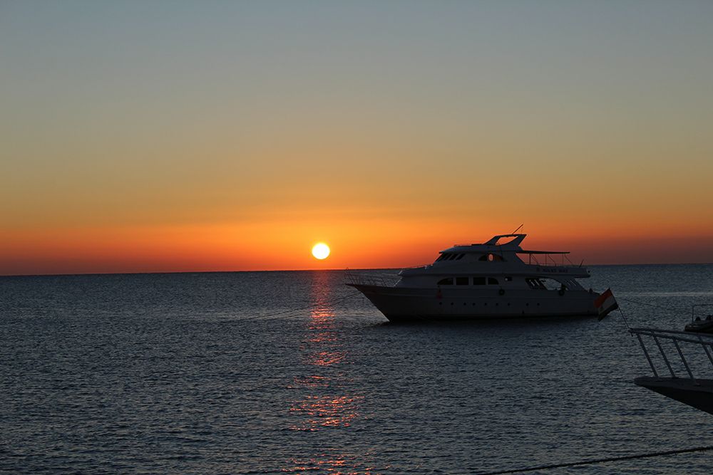 Foto: Allane Milliane