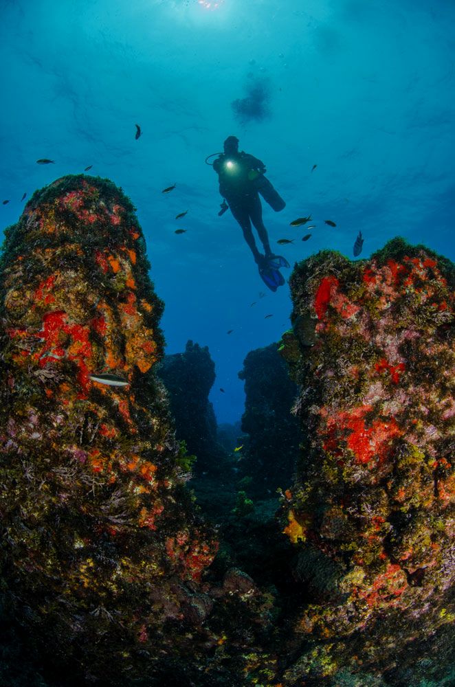 batente-das-agulhas4