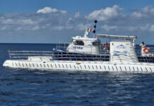 Submarino Atlantis – Cozumel – Voltando ao espetáculo