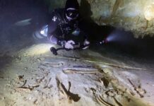 Mergulhadores encontram o 11 esqueleto pré-histórico em Yucatán
