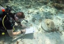 Mergulhadores encontram seis naufrágios nas Bahamas