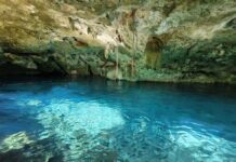 Cenotes mexicanos contaminados por bactéria fecal ?