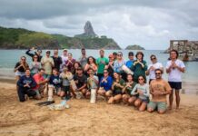 Professor capacita mergulhadores em Noronha para manejo com peixe-leão